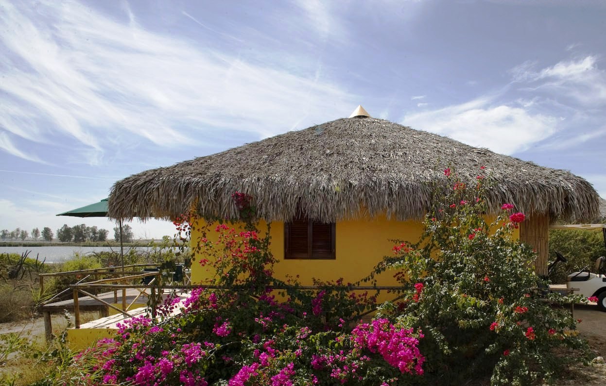 Bungalow and bougainvillas 187
